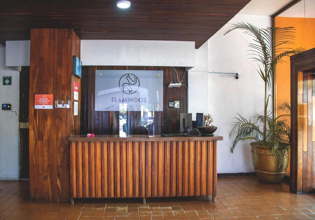 Hotel Flamingos Guadalajara Exterior photo